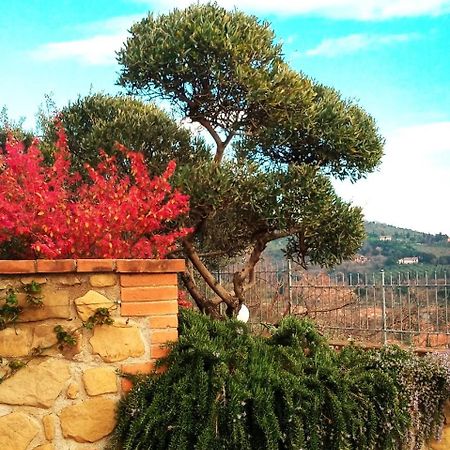 Olivo Bonsai Hotel ปัสซีญาโน ซุล ตราซีเมโน ภายนอก รูปภาพ